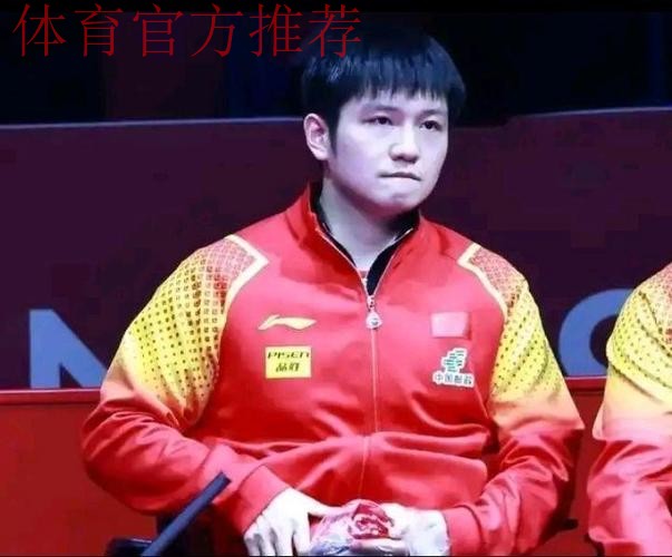 致敬樊振东！“莎头”伤退惹争议，刘国梁专注WTT也帮不了国乒